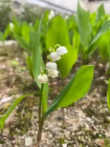 永澤寺(兵庫県)