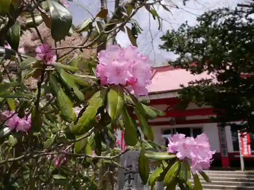 日輪寺の自然