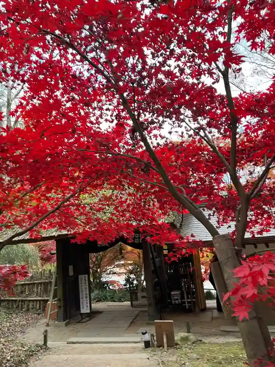 教林坊(滋賀県)