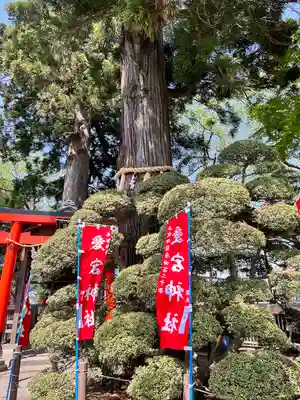 愛宕神社(宮城県)