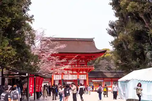 賀茂御祖神社（下鴨神社）(京都府)