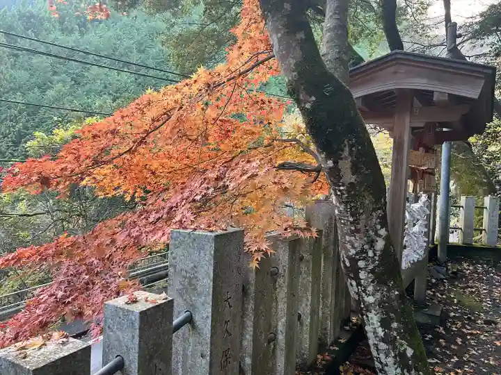 九頭龍神社(東京都)