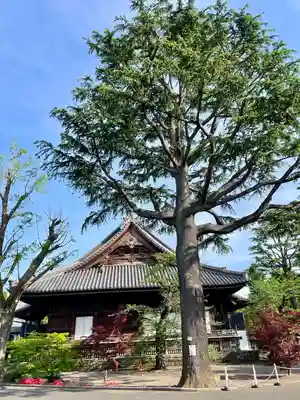 寛永寺(根本中堂)(東京都)