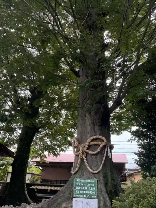 出雲大社相模分祠(神奈川県)