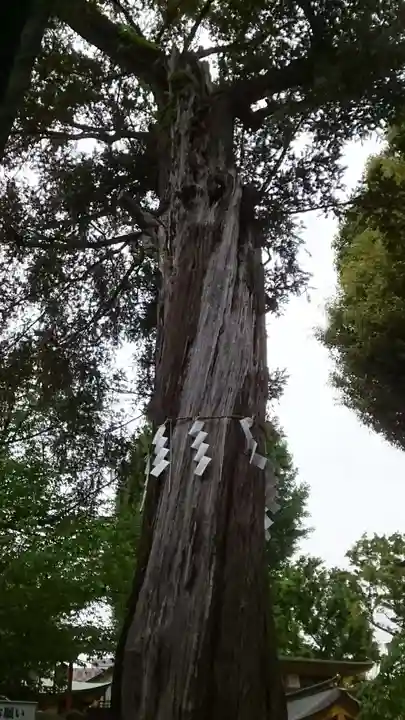 居木神社(東京都)
