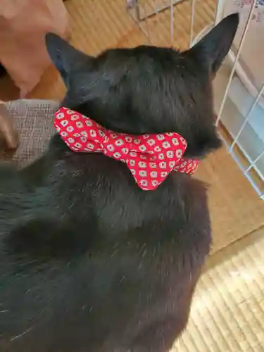 高司神社〜むすびの神の鎮まる社〜(福島県)