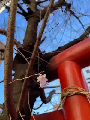芭蕉稲荷神社(東京都)