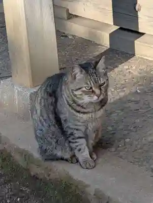 白幡八幡神社(神奈川県)