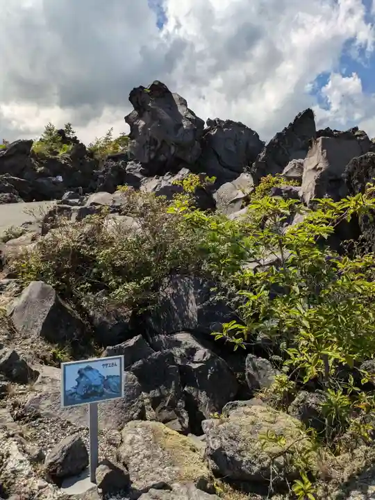 寛永寺別院浅間山観音堂の自然