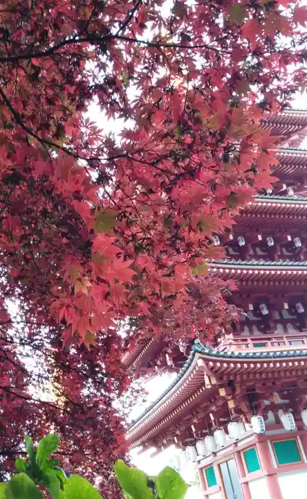 高幡不動尊 金剛寺のその他建物