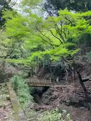 大山寺(神奈川県)