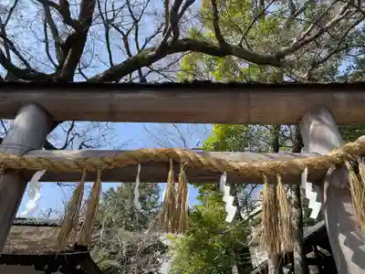 斎明神社(京都府)