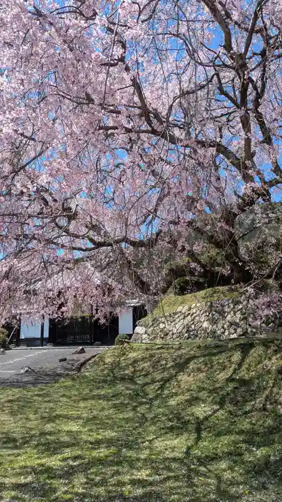 泰門庵(滋賀県)