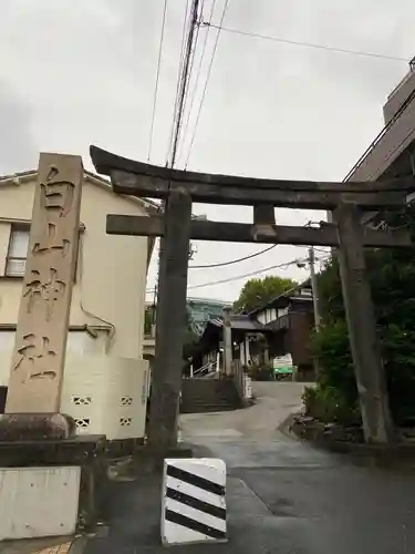 白山神社の鳥居