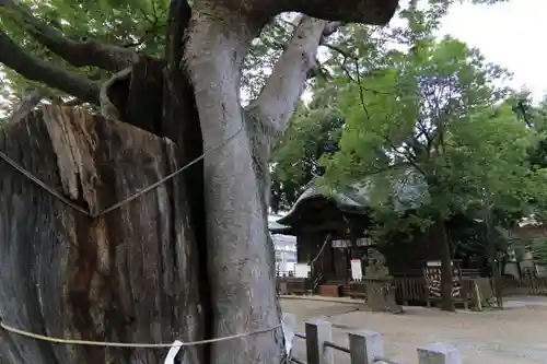 阿邪訶根神社の本殿・本堂