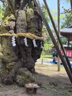 蠶養國神社(福島県)
