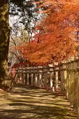 正法寺(滋賀県)