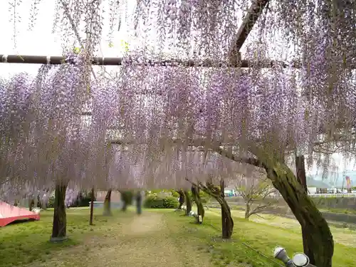 和氣神社（和気神社）の自然