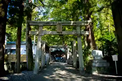 椙本神社の鳥居