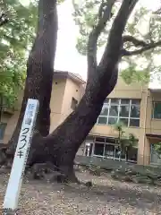 神明社（桜神明社）(愛知県)