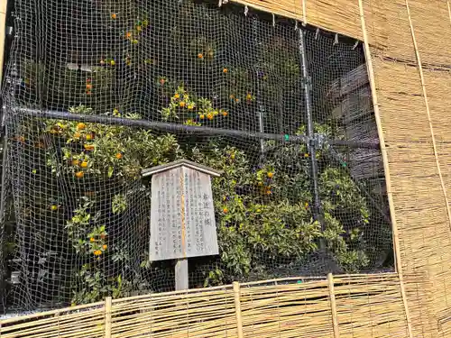 平安神宮(京都府)