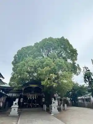 石津神社(大阪府)