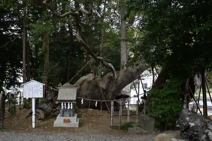 草薙神社の自然