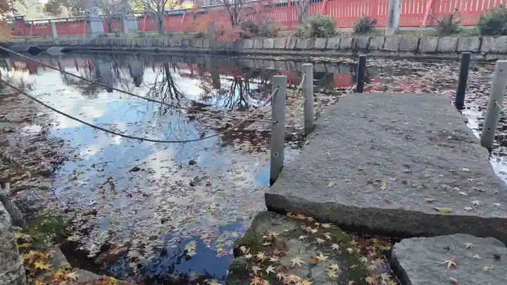稗田野神社(薭田野神社)(京都府)