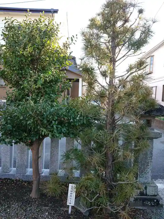 松延神社の自然