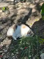 かっぱの寺 栖足寺(静岡県)