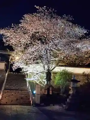 如宝寺(福島県)