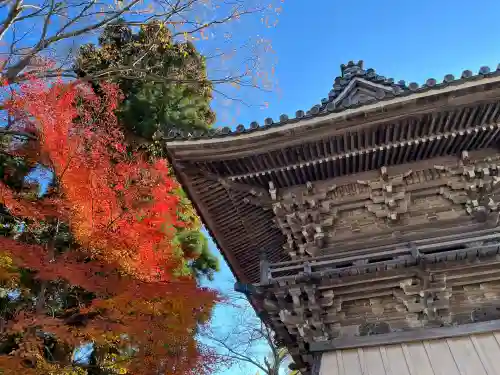 西教寺(滋賀県)