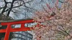 平野神社の鳥居