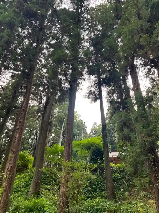 大宮温泉神社(栃木県)