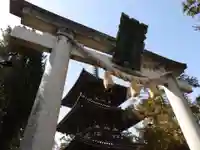 春日若宮神社(奈良県)