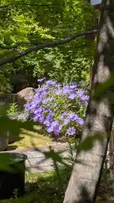 勝林寺(京都府)
