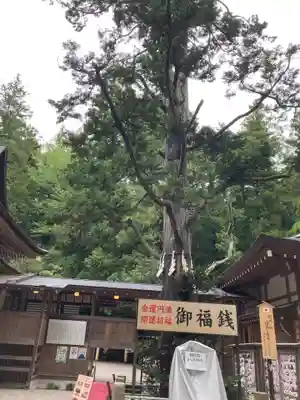 宝登山神社(埼玉県)