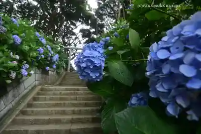 酒列磯前神社(茨城県)