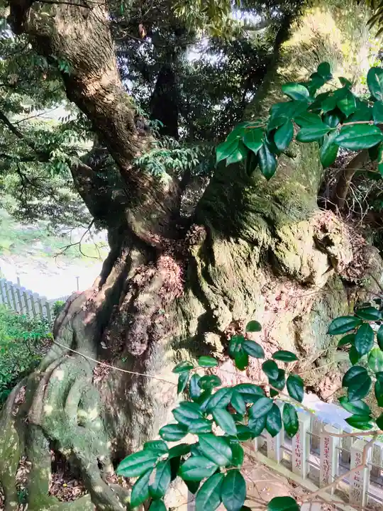 楽法寺(雨引観音)(茨城県)