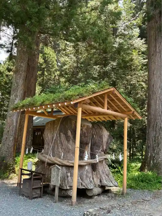 小國神社(静岡県)