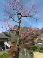 千手院(東京都)