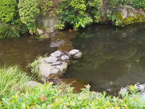 根津神社の庭園