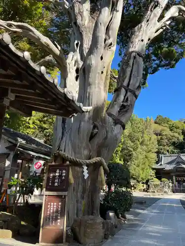 伊古奈比咩命神社(静岡県)
