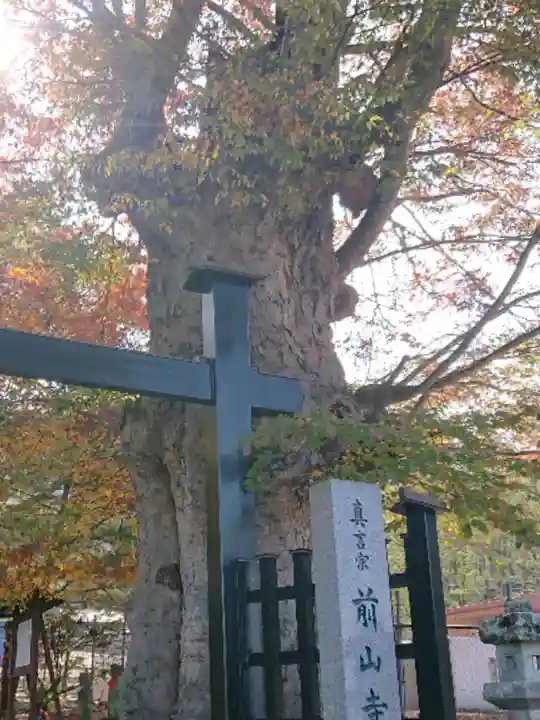 前山寺の自然