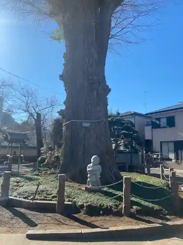 泉福寺(神奈川県)