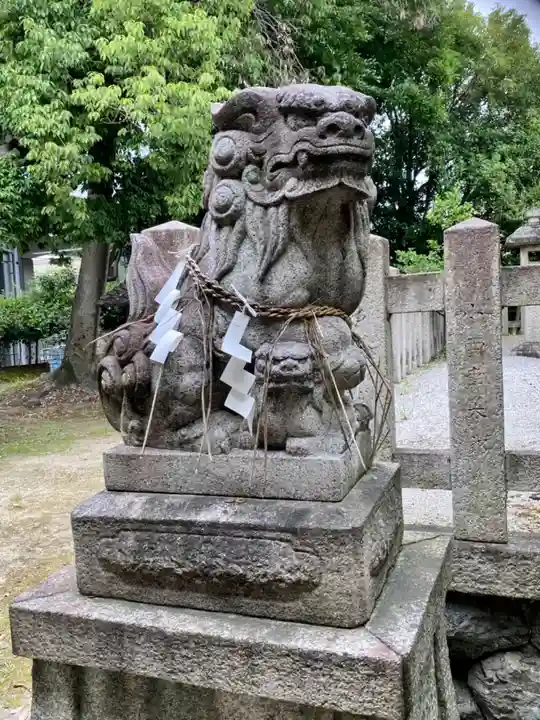綾戸國中神社の狛犬