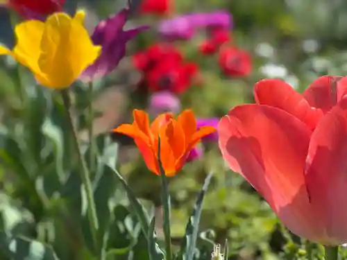 海宝院(神奈川県)