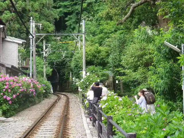 御霊神社の周辺