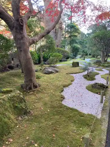 報国寺の庭園