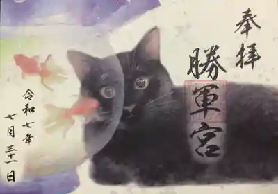 にゃんこシリーズ🐈